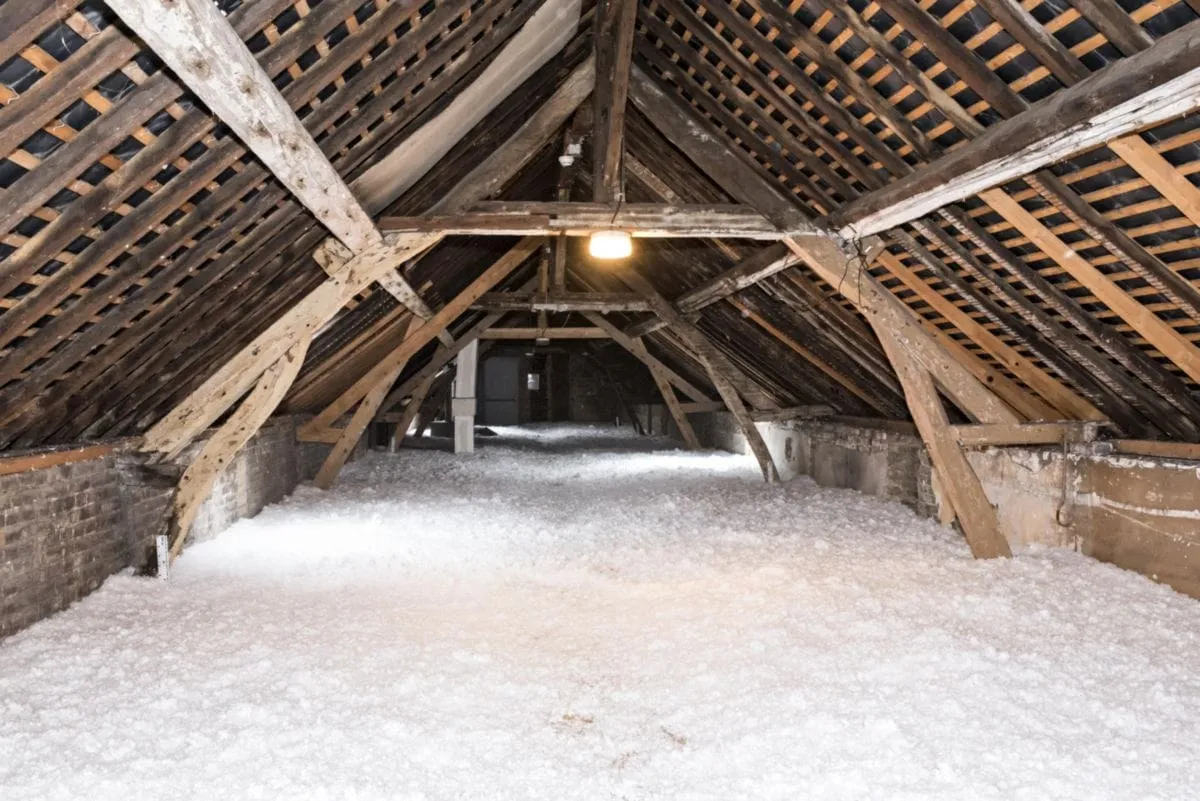 Combles perdus recouverts d'un matelas régulier de laine soufflée, charpente apparente