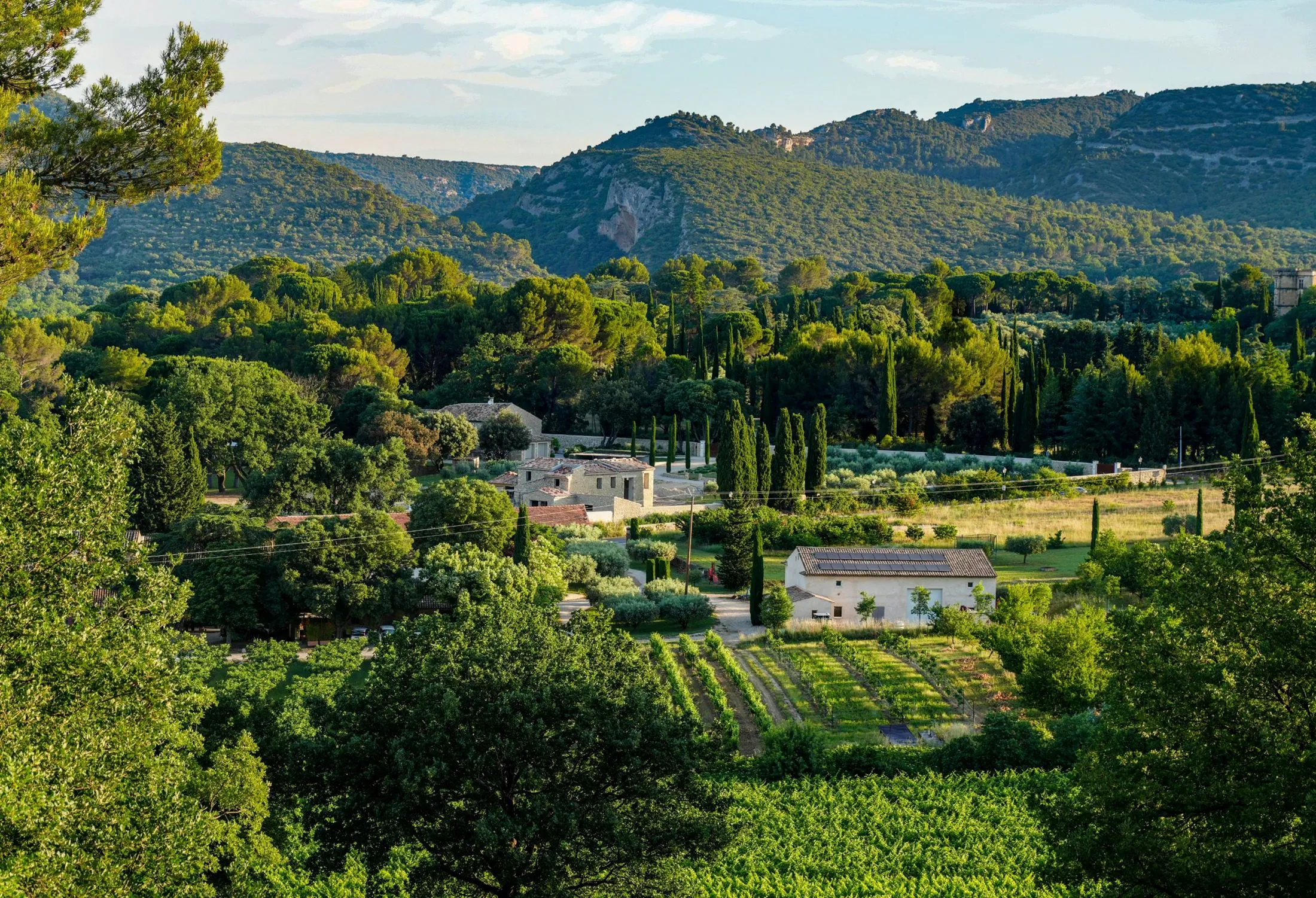 Mas en pierre et bâtiment au toit équipé de panneaux photovoltaïques, entre vignes, oliviers et cyprès, au pied du Luberon à Lourmarin