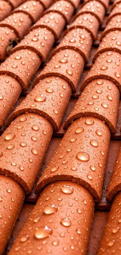Tuiles hydrofugées sur lesquelles la pluie perle